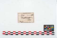 Etikett zu Eisenlanzenspitze (NHMW-PRAE-002348)